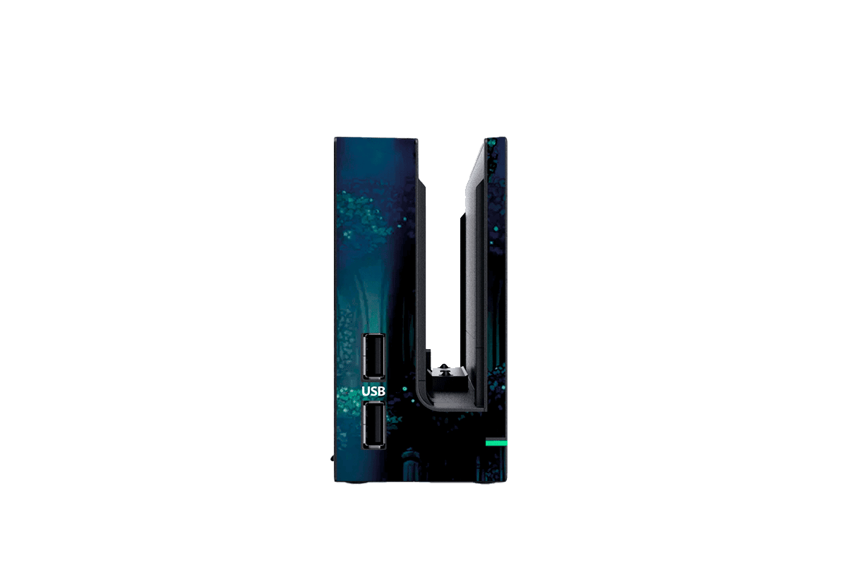 Hollow Knight Skin Nintendo Switch (2017) Xonebrand