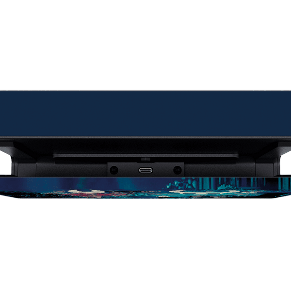 Hollow Knight Skin Nintendo Switch (2017)