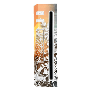 The last of Us Nintendo Wii Skin