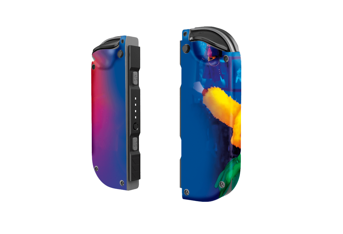 Just Dance Nintendo Switch Skin