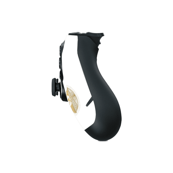 Destiny Skin Playstation 4 Fat