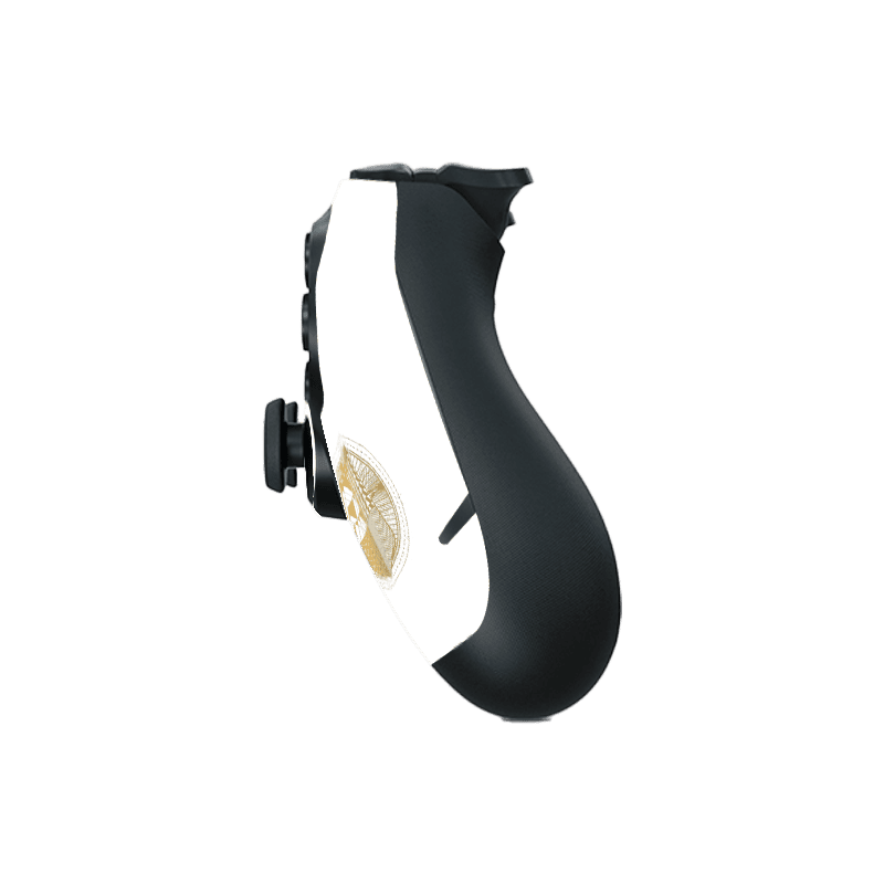 Destiny Skin Playstation 4 Fat