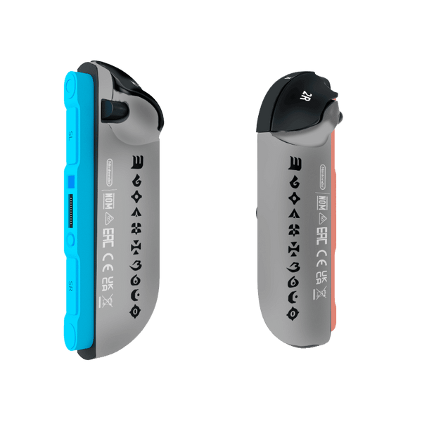 Monster Hunter Skin Nintendo Switch 2 (2025)