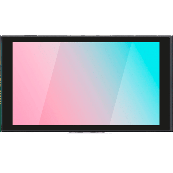 Zelda Tears of the Kingdom Skin Nintendo Switch 2 (2025)