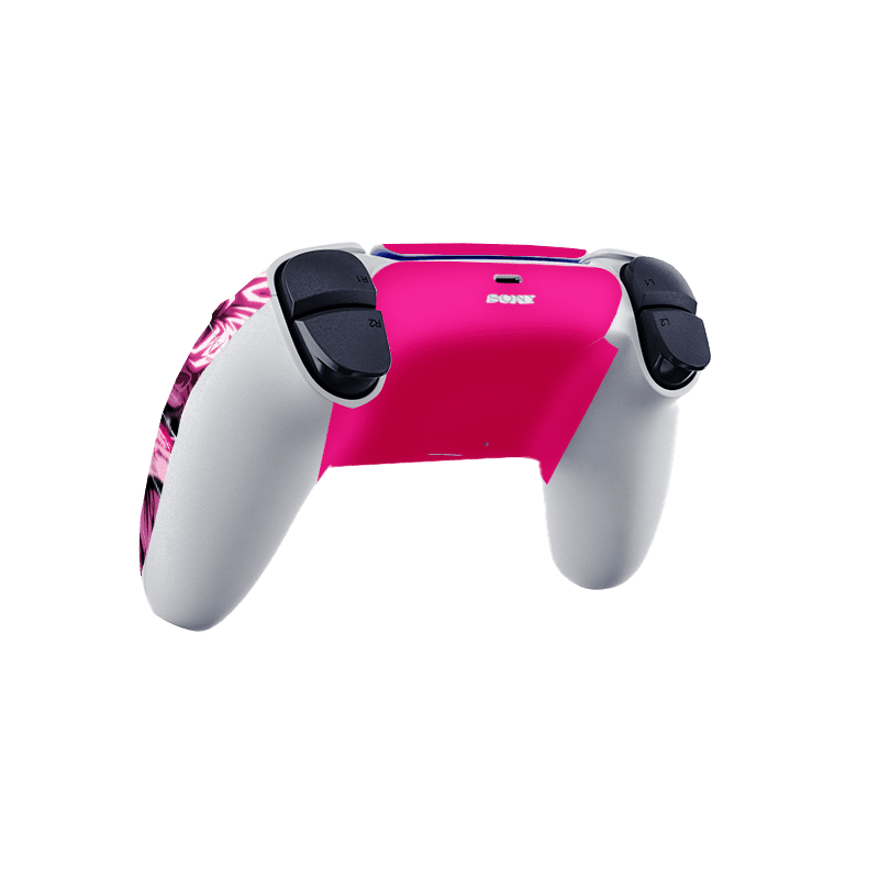 Dragon Ball Goku Black PS5 Bundle Skin