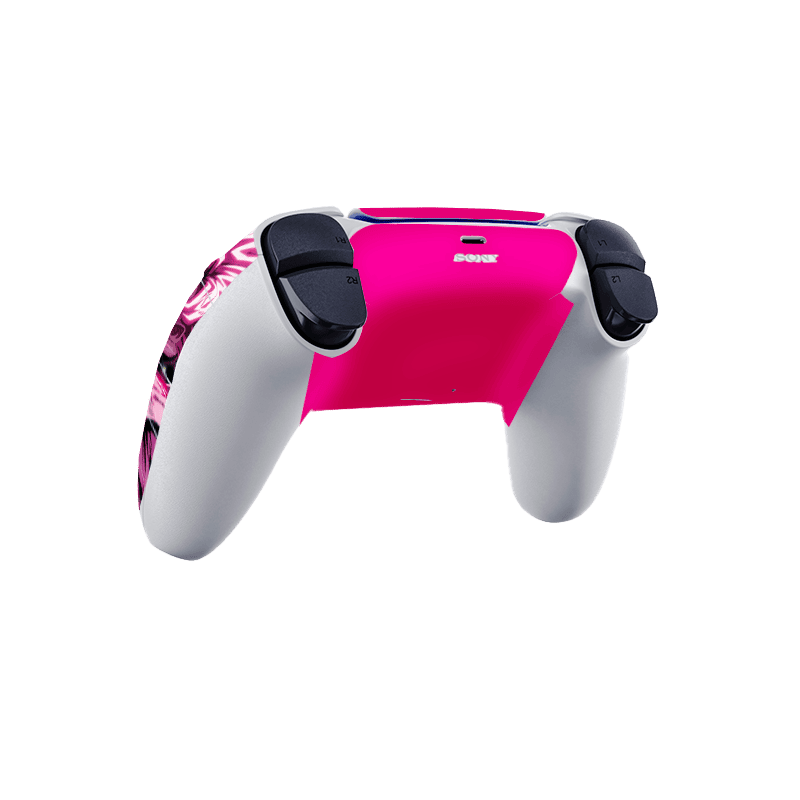 Dragon Ball Goku Black Skin Playstation 5 Pro