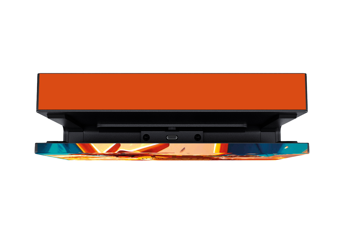 Pokemon Charizar Skin Nintendo Switch (2017) Xonebrand
