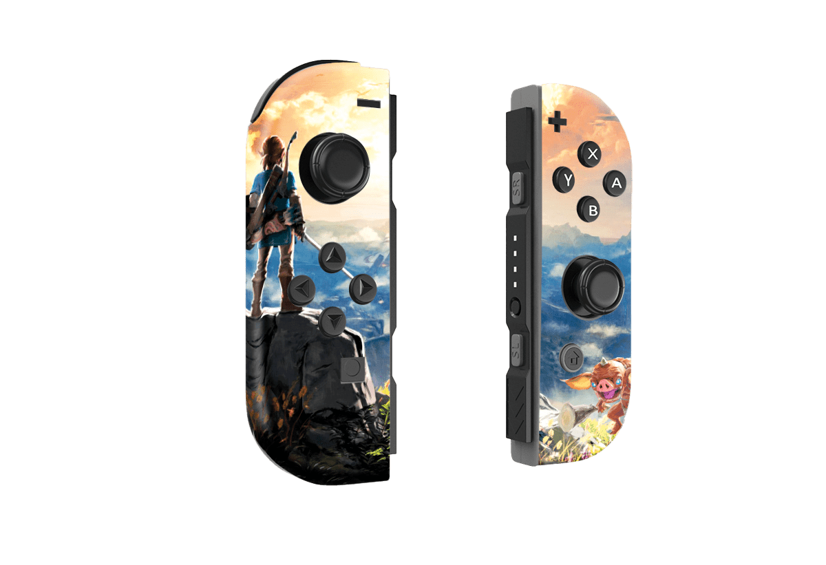 Legend of Zelda Nintendo Switch Skin