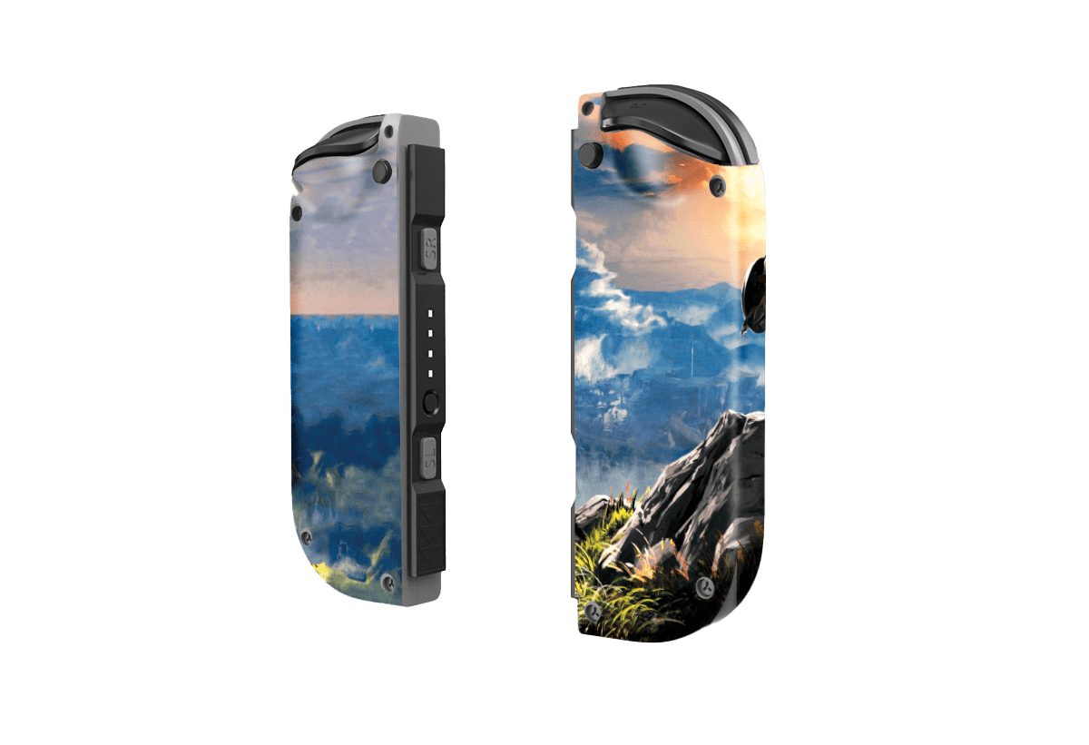 Legend of Zelda Nintendo Switch Skin