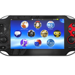 Monster Hunter PSVITA Fat Bundle Skin