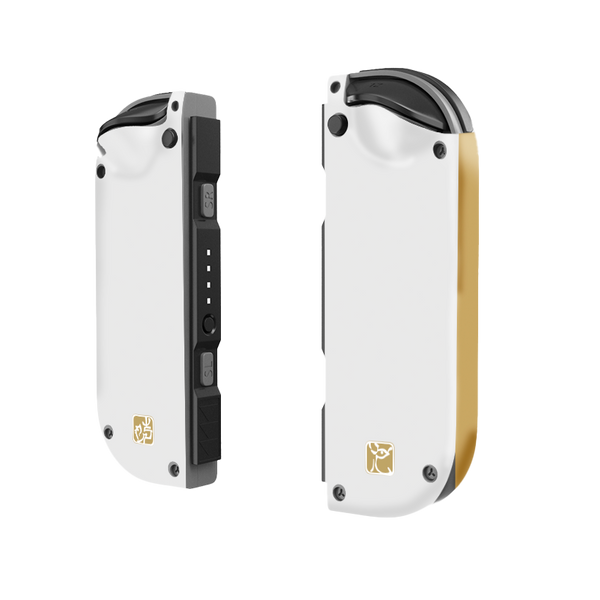 Zelda Tears of the Kingdom Skin Nintendo Switch (2017)