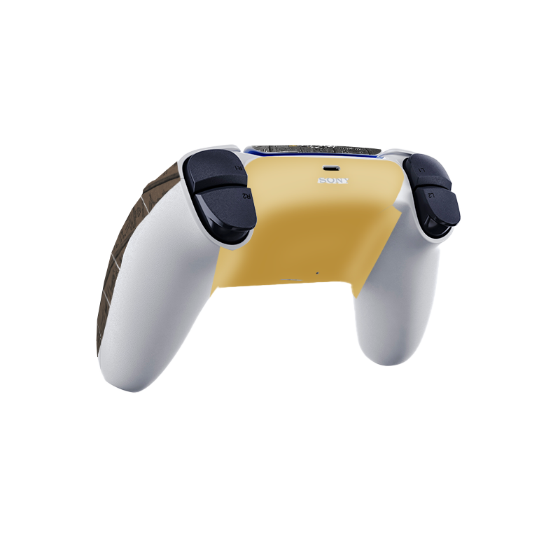 Assassins Creed Origins Skin Playstation 5 Pro