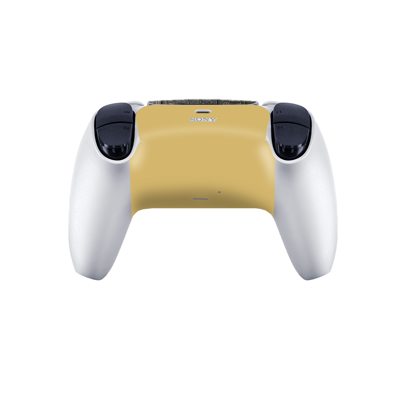 Assassins Creed Origins Skin Playstation 5 Pro