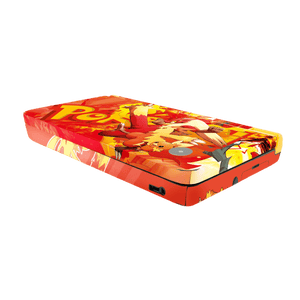 Pokemon Torchic Nintendo DSI XL 2010 Skin