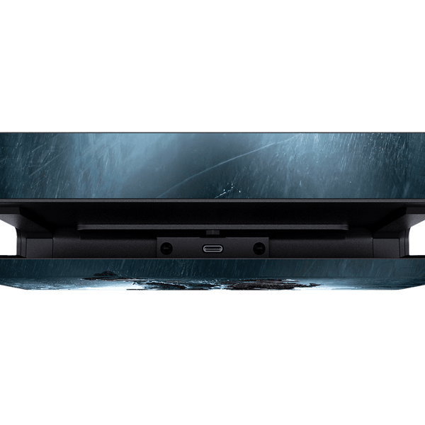 Resident Evil 2 Skin Nintendo Switch (2017)