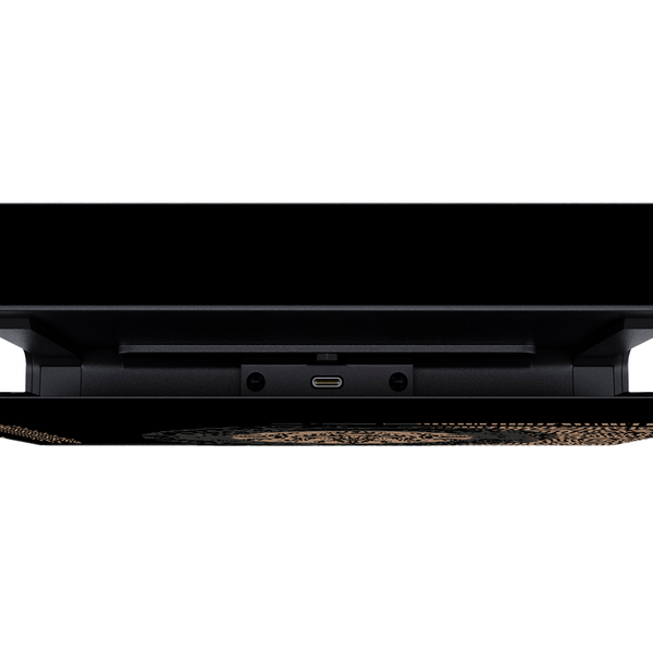 Zelda Tears of the Kingdom Skin Nintendo Switch (2017)