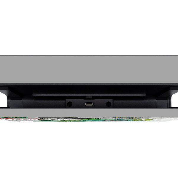 Pokemon League Mystery Dungeon Skin Nintendo Switch (2017)