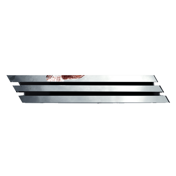 The las of Us II Skin Playstation 4 Pro