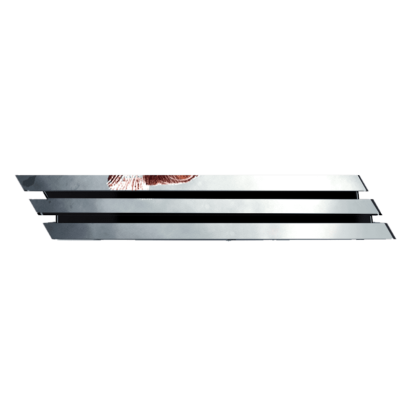 The las of Us II Skin Playstation 4 Pro