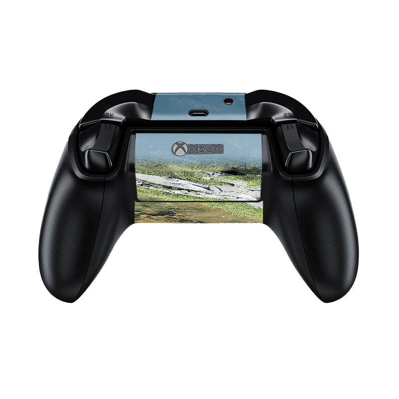 The last of Us II Skin Xbox Series X