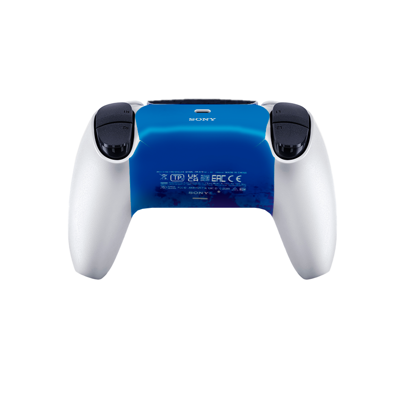 Umbrella Raccoon RPD Skin Playstation 5 Pro