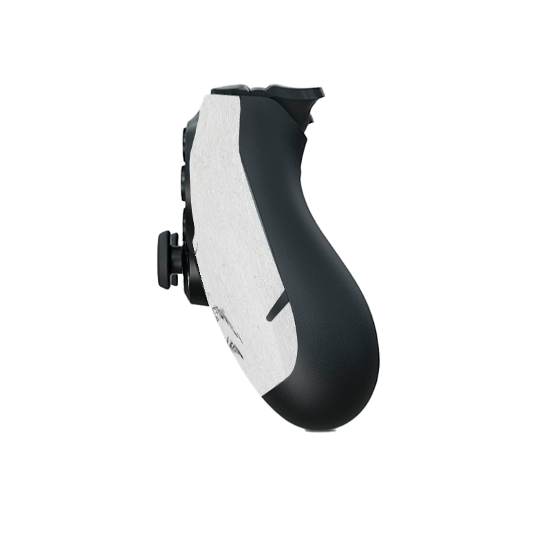 The las of Us II Skin Playstation 4 Pro