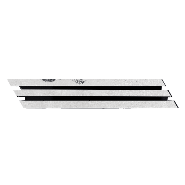 The las of Us II Skin Playstation 4 Pro