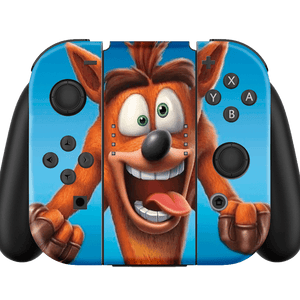 Crash Rumble Nintendo Switch Skin