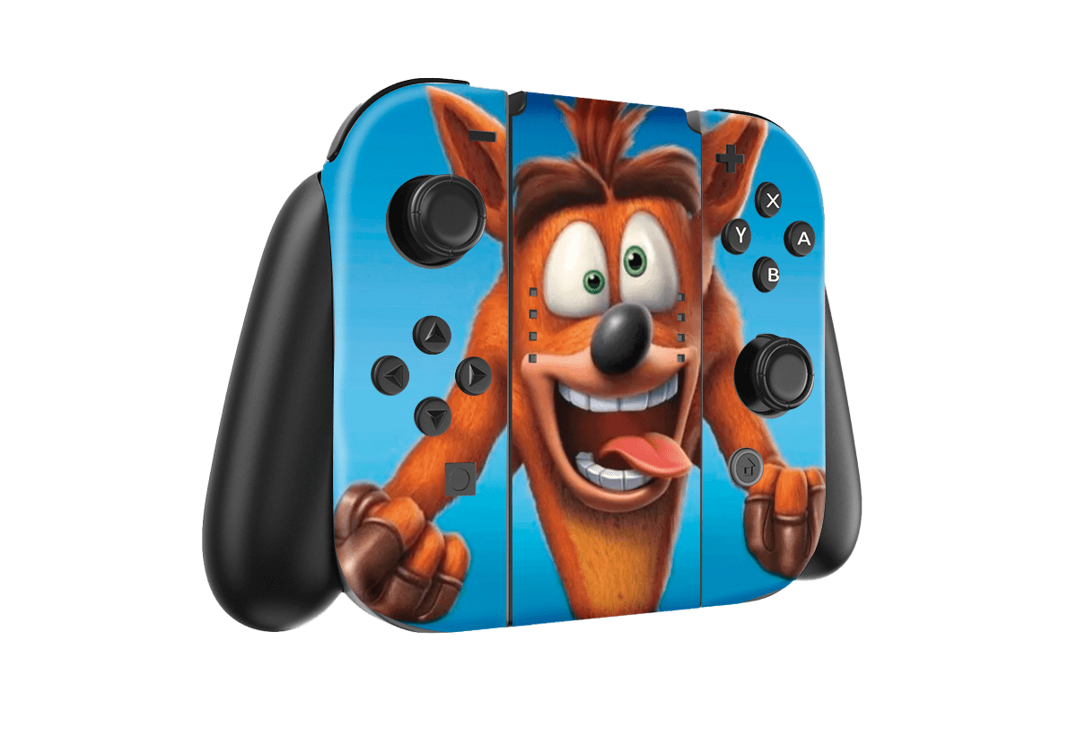 Crash Rumble Nintendo Switch Skin