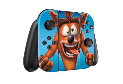 Crash Rumble Nintendo Switch Skin