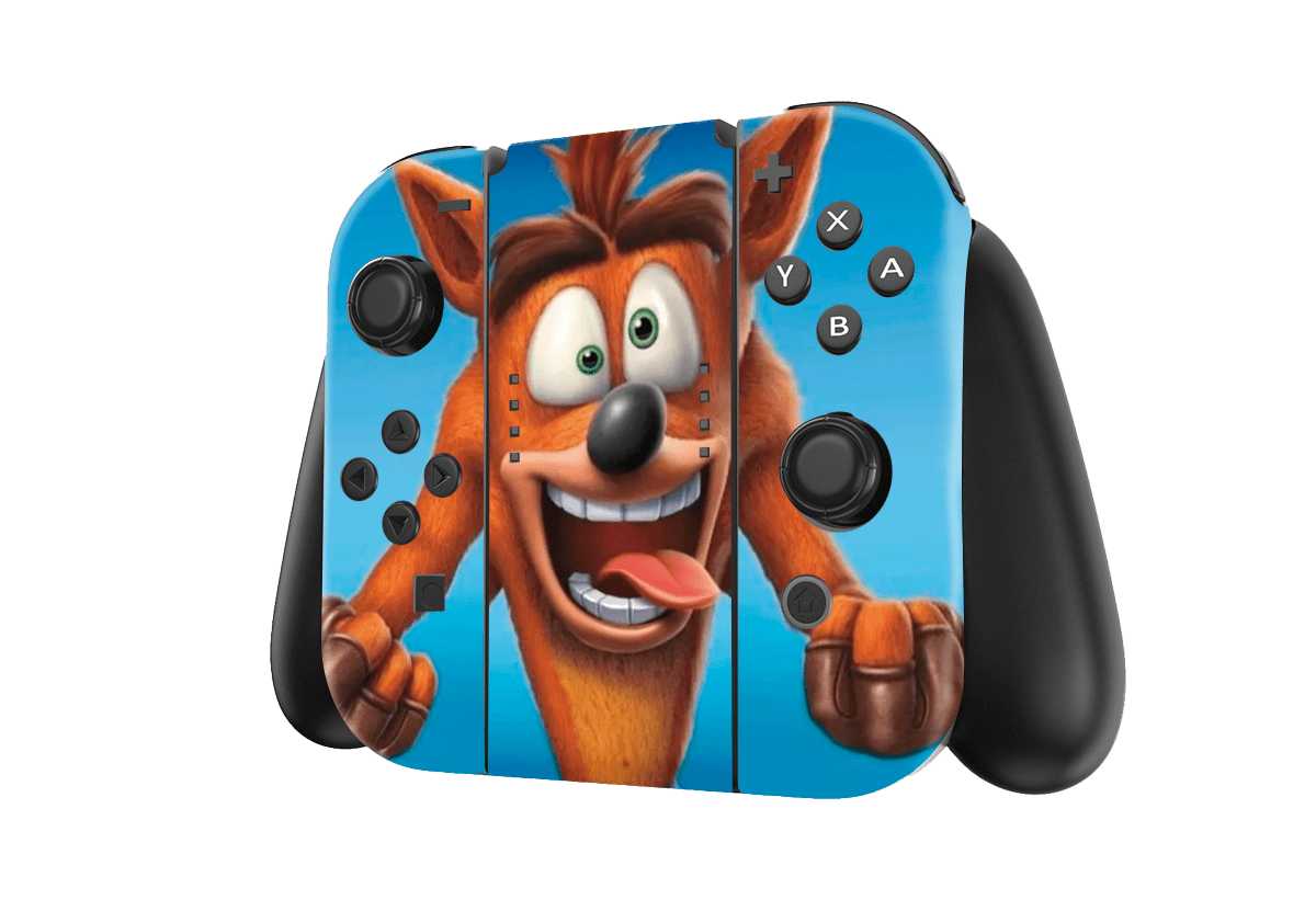 Crash Rumble Nintendo Switch Skin