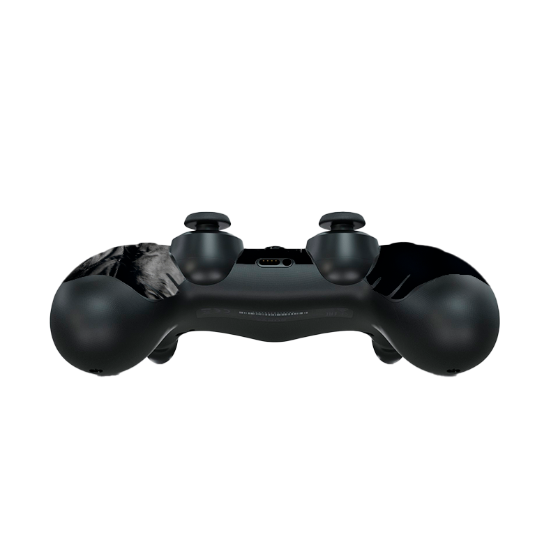 The las of Us II Skin Playstation 4 Slim