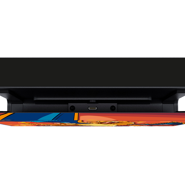 Pokemon Charizard Skin Nintendo Switch (2017)