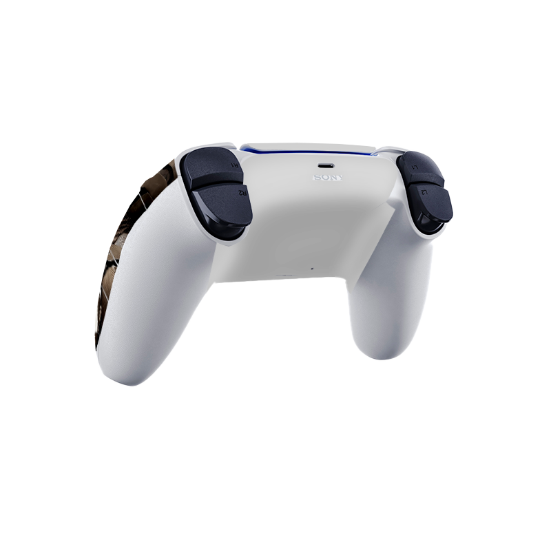 Batman Arkham Skin Playstation 5 Slim