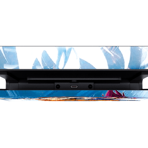 Dragon Ball Super Skin Nintendo Switch (2017)