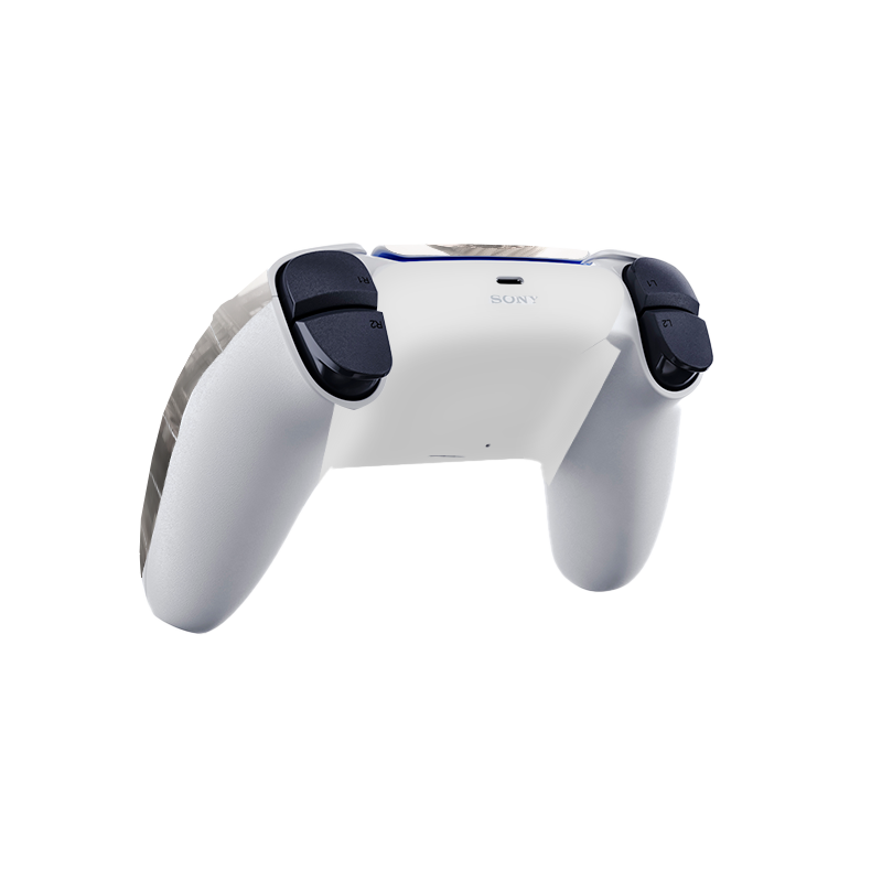 Silent Hill 2 Skin Playstation 5 Fat