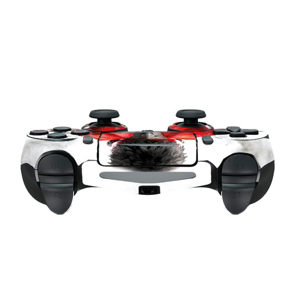 Street Fighter Skin Playstation 4 Slim