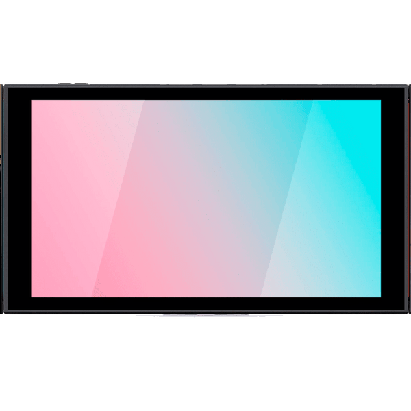 Zelda Tears of the Kingdom Skin Nintendo Switch 2 (2025)